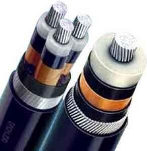 Buy Polycab Sislv3x Aluminium Armoured Cable xwy 10 Sq Mm 3 Core Online At Best Price On Moglix