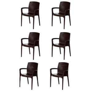 Supreme Texas Globus Brown Chairs With Matt Finish (Pack Of 6)