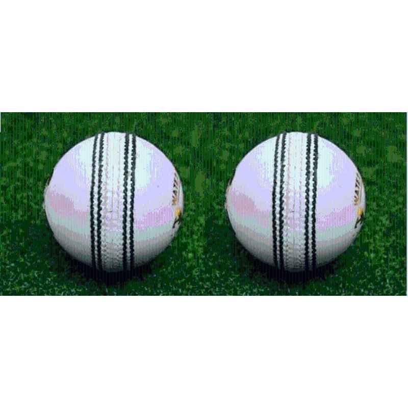 HTM T-20 Leather Ball combo pack Cricket Leather Ball (Pack of 2) White)