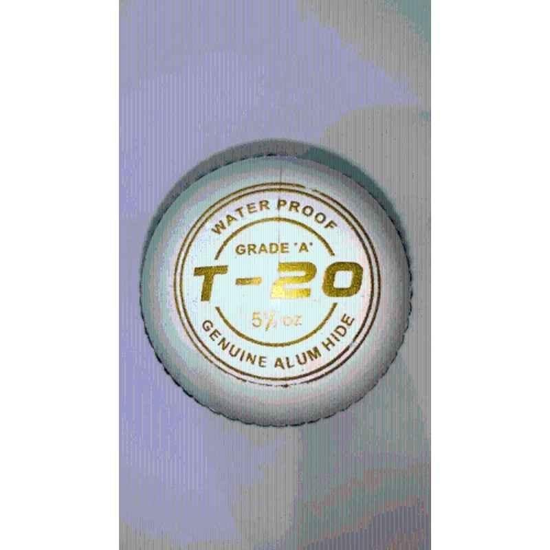 Cricket Kingdom T-20 White Standard Cricket Leather Ball