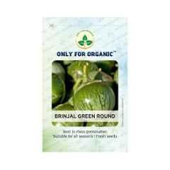 Only For Organic 10g Green Round Brinjal Vegetable Seeds, OFOPPHYBGR0025