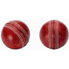 DDS T-20 Leather Cricket Ball (Pack of 2)