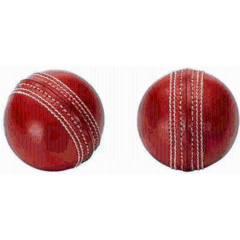 DDS T-20 Leather Cricket Ball (Pack of 2)