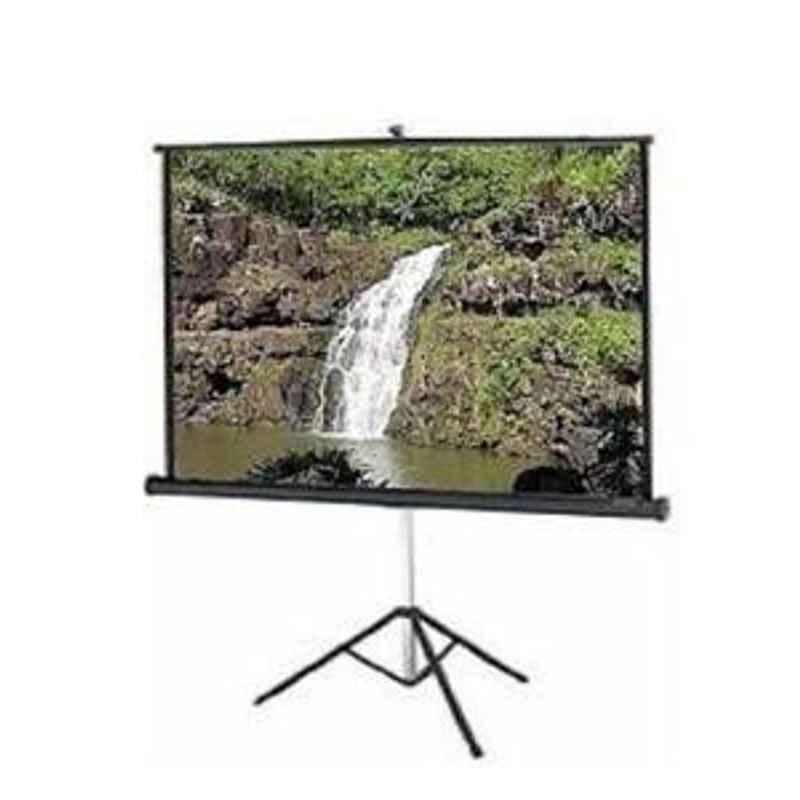 True Vision Wall Mount Or Pull Down High Gain Projection Screen 6ftx8ft