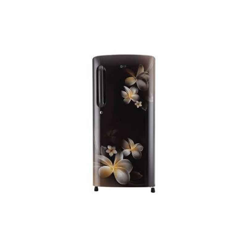 LG 190L 5 Star Hazel Plumeria Smart Inverter Refrigerator, GL-B201AHPY
