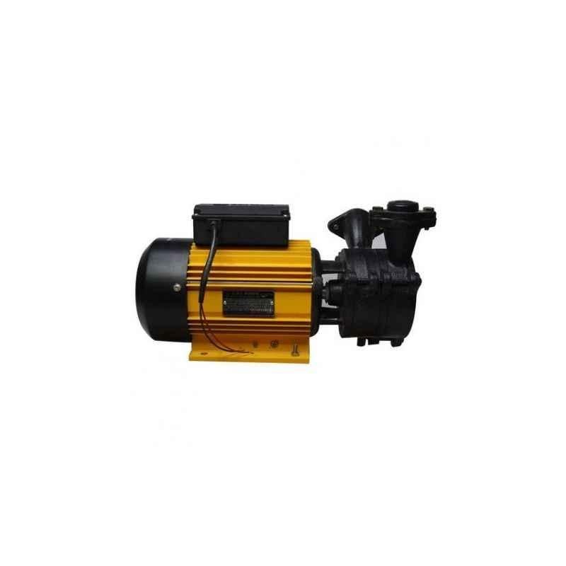 CRI 1.5HP Monoblock Domestic Pumps, Champee 150