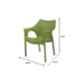 Supreme Cambridge Synthetic Resin Rattan Looks Mehndi Green Premium Chair with Arm (Pack of 4)