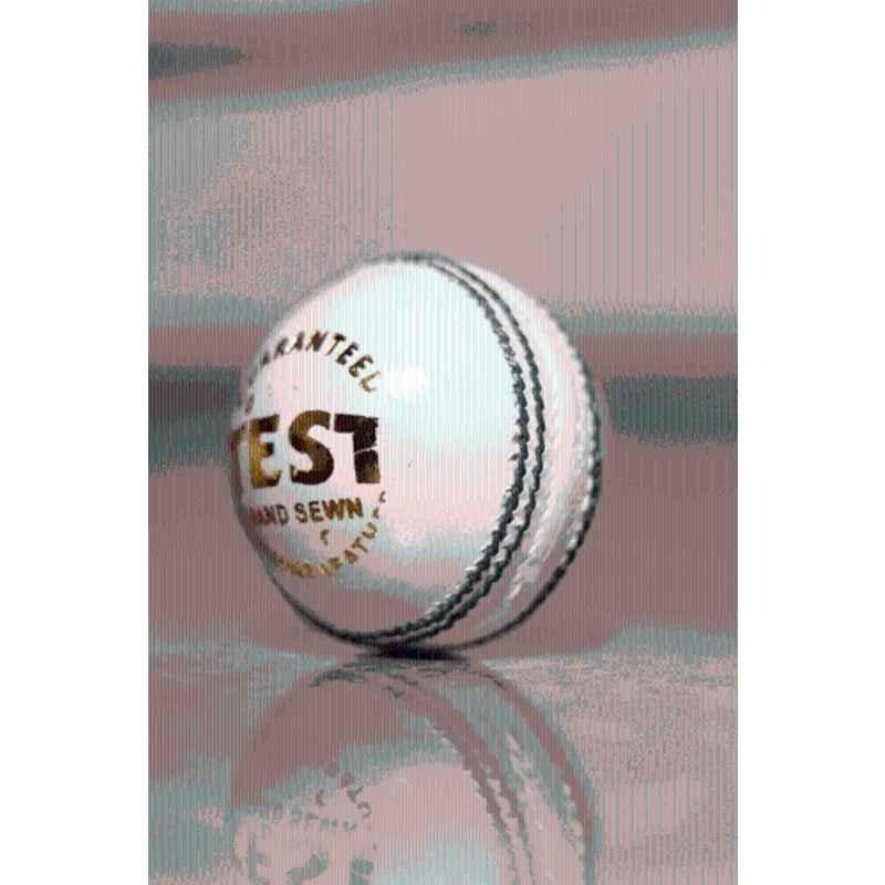 LSI Sports LSI Test White Leather Cricket Ball Cricket Leather Ball (Standard White)