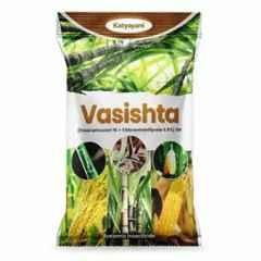 Katyayani Vasishta 5kg Thiamethoxam 1% Chlorantraniliprole 0.5% Insecticide, K-5593