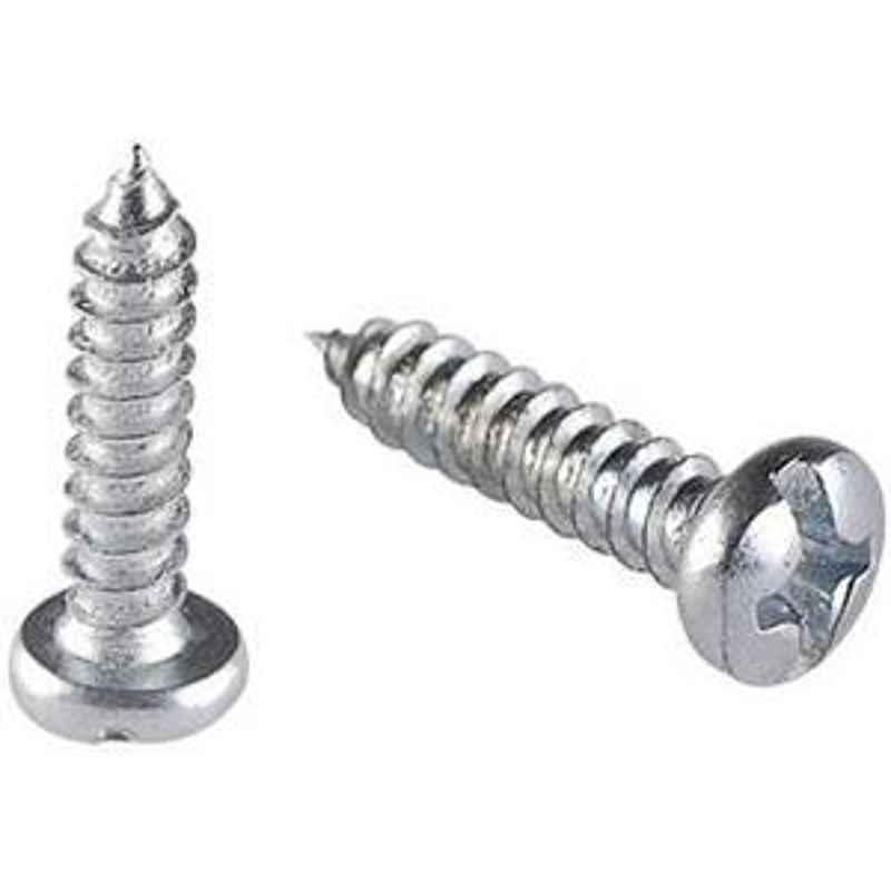 Canon Pan Head Self Tapping Screw Stainless Steel 6x25 mm