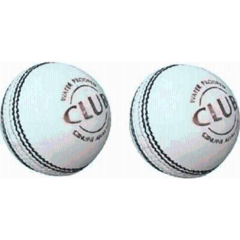 NBC Leather Cricket Ball (Pack of 2)