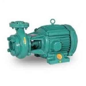 TEFC Centrifugal Monoblock Pump 