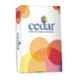 JK Cedar 500 Sheets 100 GSM A3 Copier Paper, SE-026 (Pack of 5)