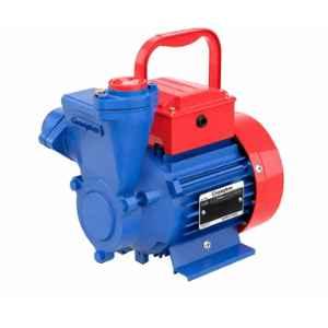 Crompton Win II 0.5HP Centrifugal Pump