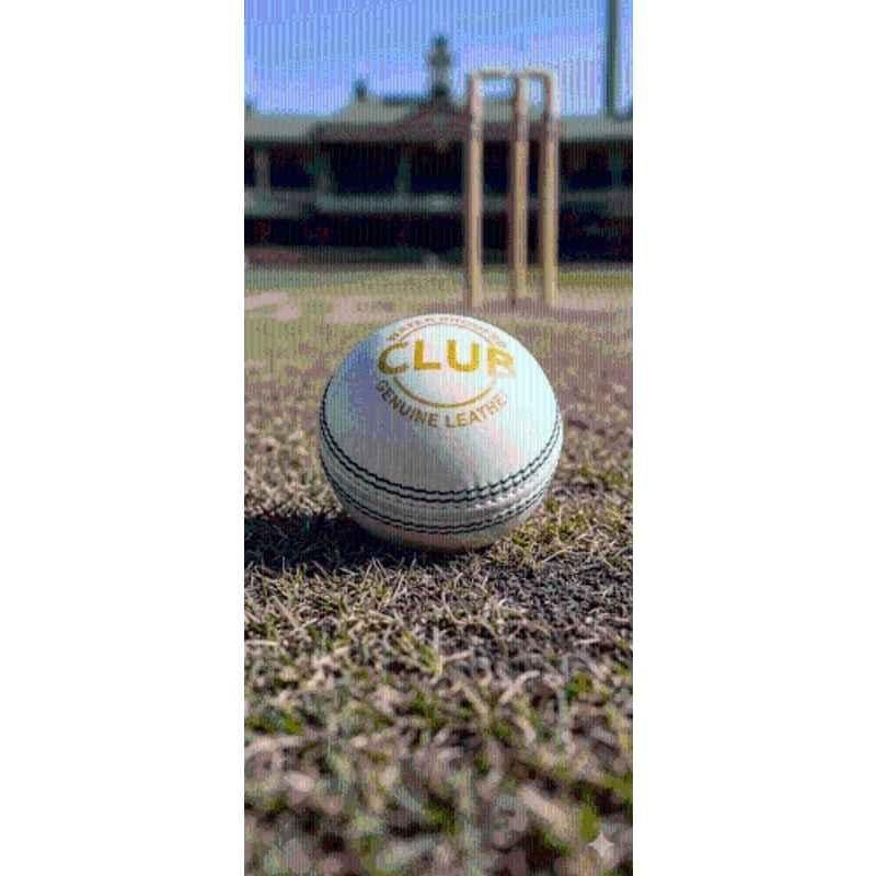 ASG Standard White Cricket Leather Ball