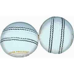 HTM T-20 White Leather Cricket Ball (Pack of 2)