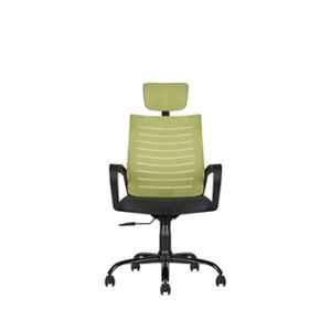 CELLBELL Desire C104 Mesh High Back Pistachio Green Ergonomic Chair