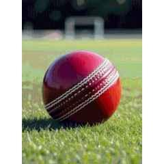 APPSS Sports Red Cricket Leather Ball