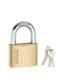 Link 50mm Brass Padlock with 3 Keys, PT50