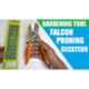Falcon Economy-M2 12mm Steel Pruner