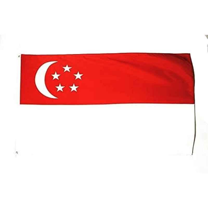 AZ Flag 2x3ft Polyester Multicolour Singapore Flag Banner, X_188