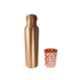 Healthchoice 750ml Pure Copper Plain Jointless Bottle with Glass (Pack of 2)