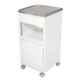 Surgihub Metal Deluxe Bed Side Locker, 11054