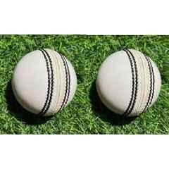 HTM Standard White Cricket Leather Ball (Pack of 2)