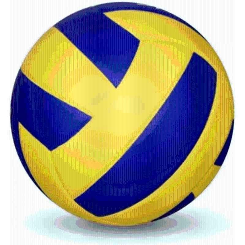 Ashi Enterprises Super Standard Blue & Yellow Volleyball, Size: 5