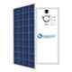 Bluebird 150W 12V Polycrystalline Solar Panel, BBS12F150