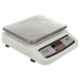 iScale i-02 30kg and 2g Accuracy Stainless Steel Digital Table Top Weighing Scale with Front and Back Double Display