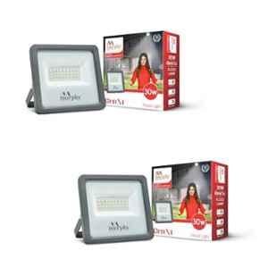 Murphy Genxt 30W 6500K Aluminium Cool White LED Flood Light for Outdoor (Pack of 2)