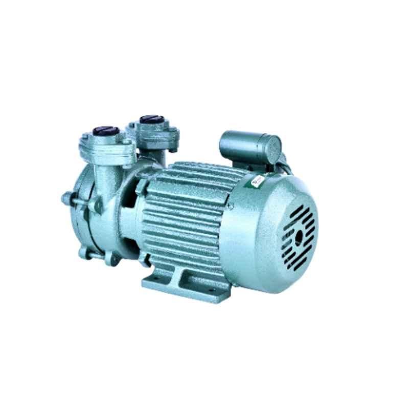 Deccan DSM 1 0.5HP Slow Speed Self Priming Pump