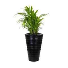 Blume Colosseum 18 inch Black Plastic Flower Pot