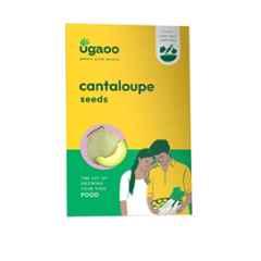 Ugaoo 4g Fruit Cantaloupe Seeds, NUVSO111