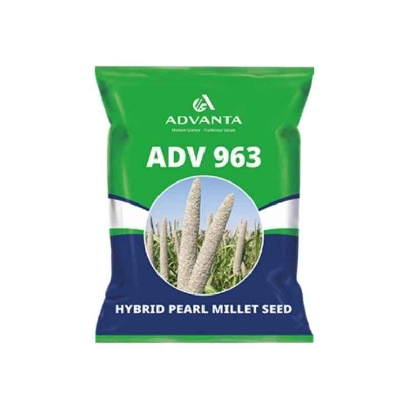 Advanta 1.5 kg Grain Hybrid Pearl Millet Seeds, 963 (Pack of 10)