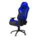 ASE Gaming Gold 135kg Leather High Back Blue & Black Ergonomic Gaming Chair