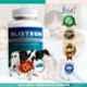 Blistrum 1000mg Immunity Booster Colostrum 60 Capsule Bottle