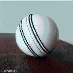 AAT 2 Pcs Standard White Cricket Leather Ball
