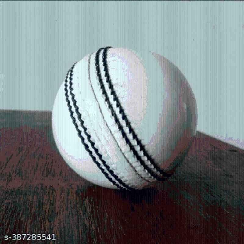 AAT 2 Pcs Standard White Cricket Leather Ball