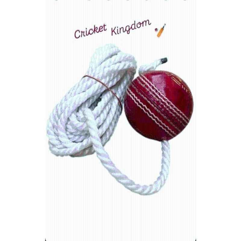 Cricket Kingdom Standard Red Cricket Leather Hanging Ball with Rope for Training, Practice & Knocking