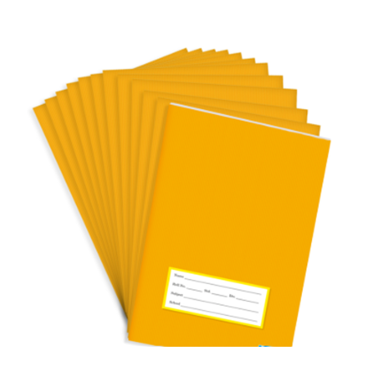 Generic 30cm Steel Ruler