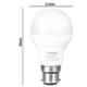 Philips 7W Cool Day White Standard B22 LED Bulb, 929001197933 (Pack of 3)