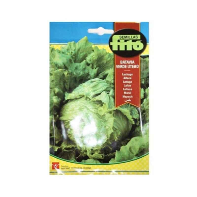 Fito Multicolour Lettuce Webbs Wonderful Seeds, 642610Ac