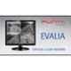 Punta Evalia 17.1 inch Black HD Plus TN Panel LED Backlit Monitor