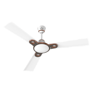 Buy Polycab Ambiance 75W 400rpm Pearl 