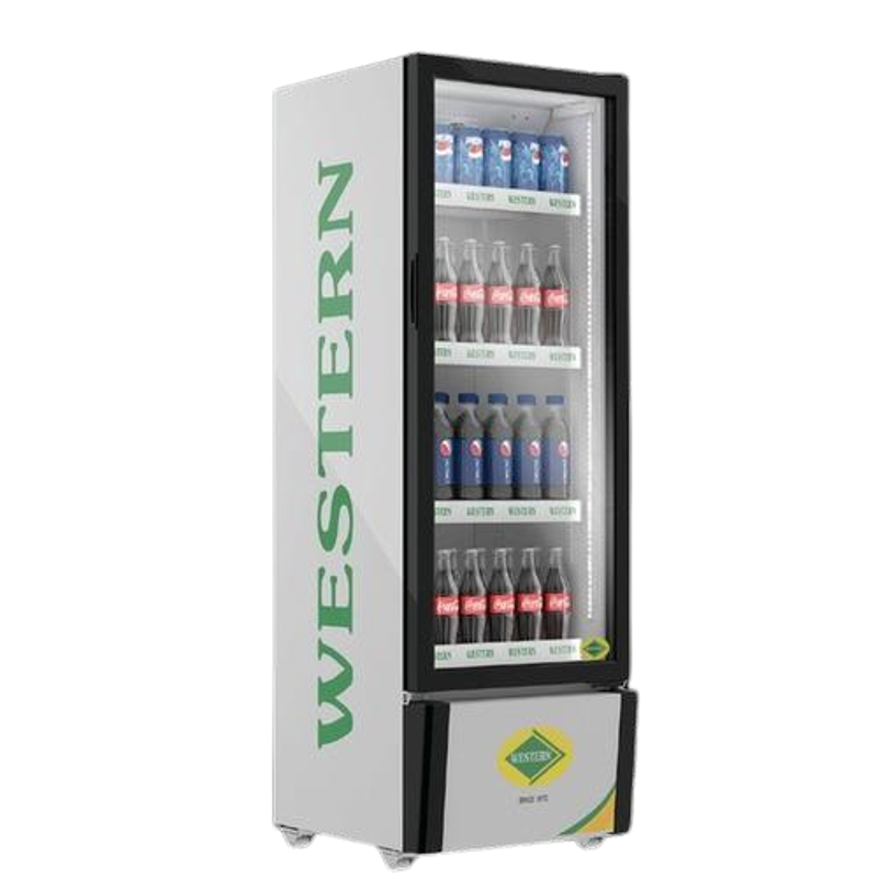 Buy Western 216L Vertical Single Door Chiller, SRC280-GL Online At
