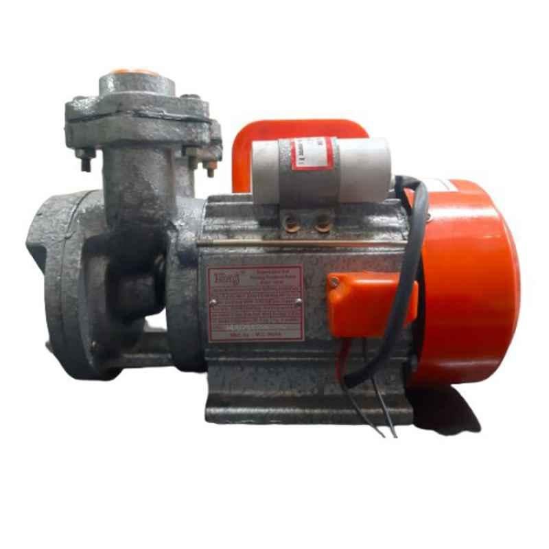 Raj 0.50HP V-Type 1400lph Centrifugal Water Pump