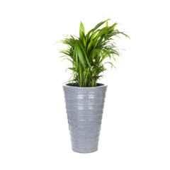 Blume Colosseum 18 inch Dark Grey Stone Plastic Flower Pot