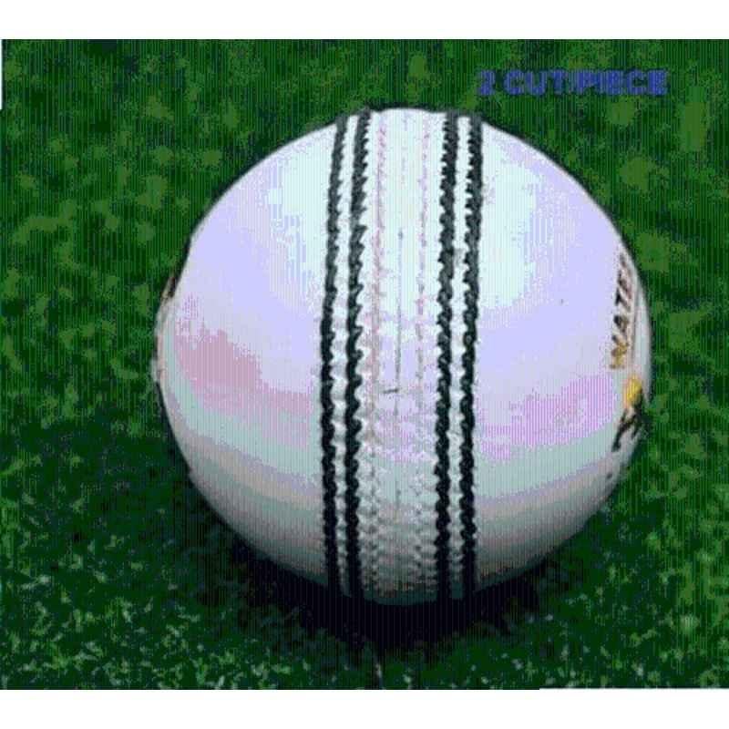 HTM T-20 Standard White Cricket Leather Ball